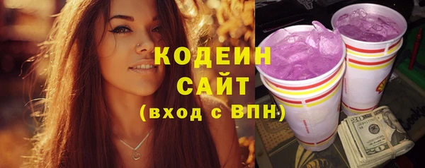 прущие грибы Няндома