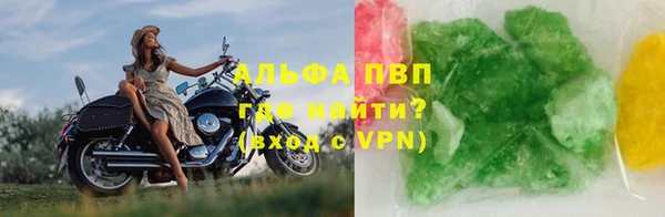 прущие грибы Няндома