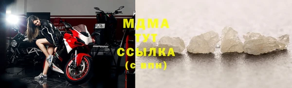 прущие грибы Няндома