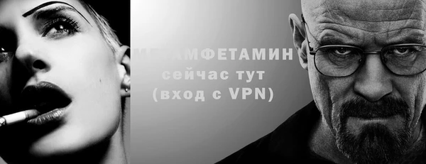 прущие грибы Няндома