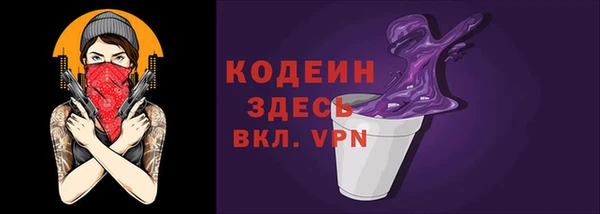 прущие грибы Няндома