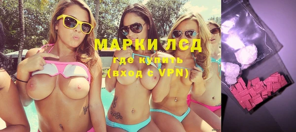 прущие грибы Няндома