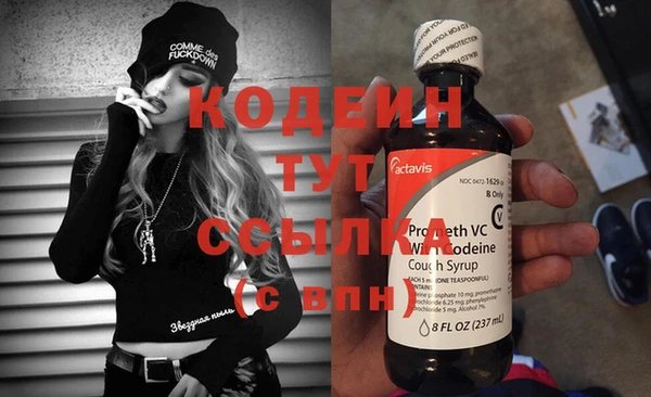 прущие грибы Няндома
