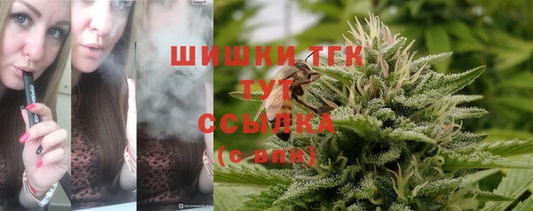 прущие грибы Няндома