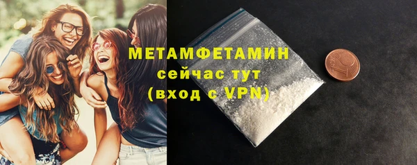 прущие грибы Няндома