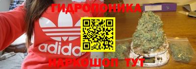 сатива Беслан