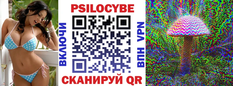 купить наркотик  Кинель  Галлюциногенные грибы GOLDEN TEACHER 