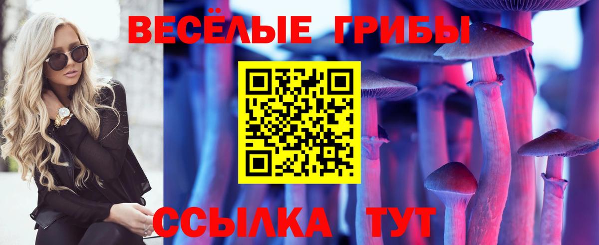 Галлюциногенные грибы ЛСД  Вход с VPN  Кинель 
